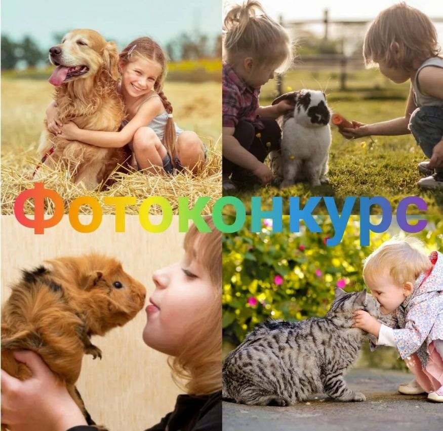 Конкурс фотографий "Наши питомцы" Конкурс фотографий "Наши питомцы"