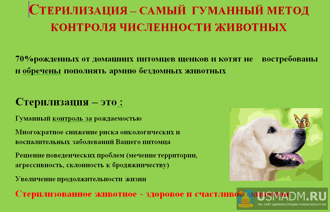 Информация для владельцев собак и кошек Информация для владельцев собак и кошек